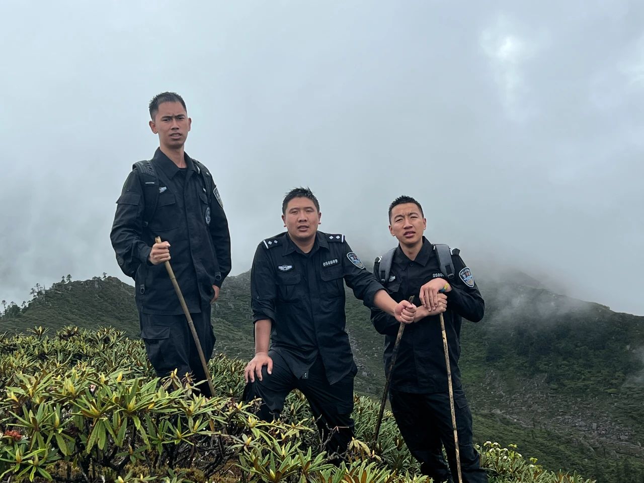 1704782603388081937.jpg 4.jpg