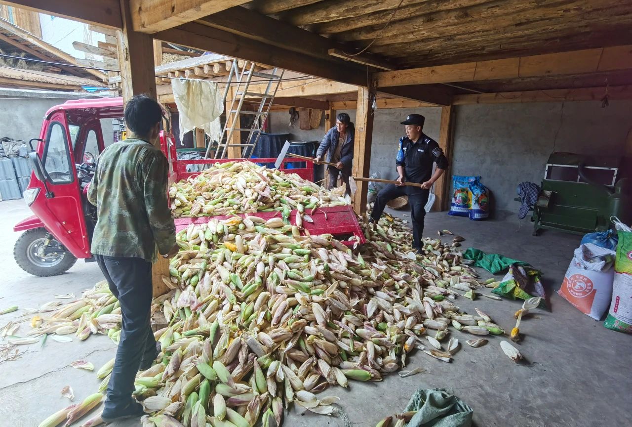 1704782660836007145.jpg 8.jpg