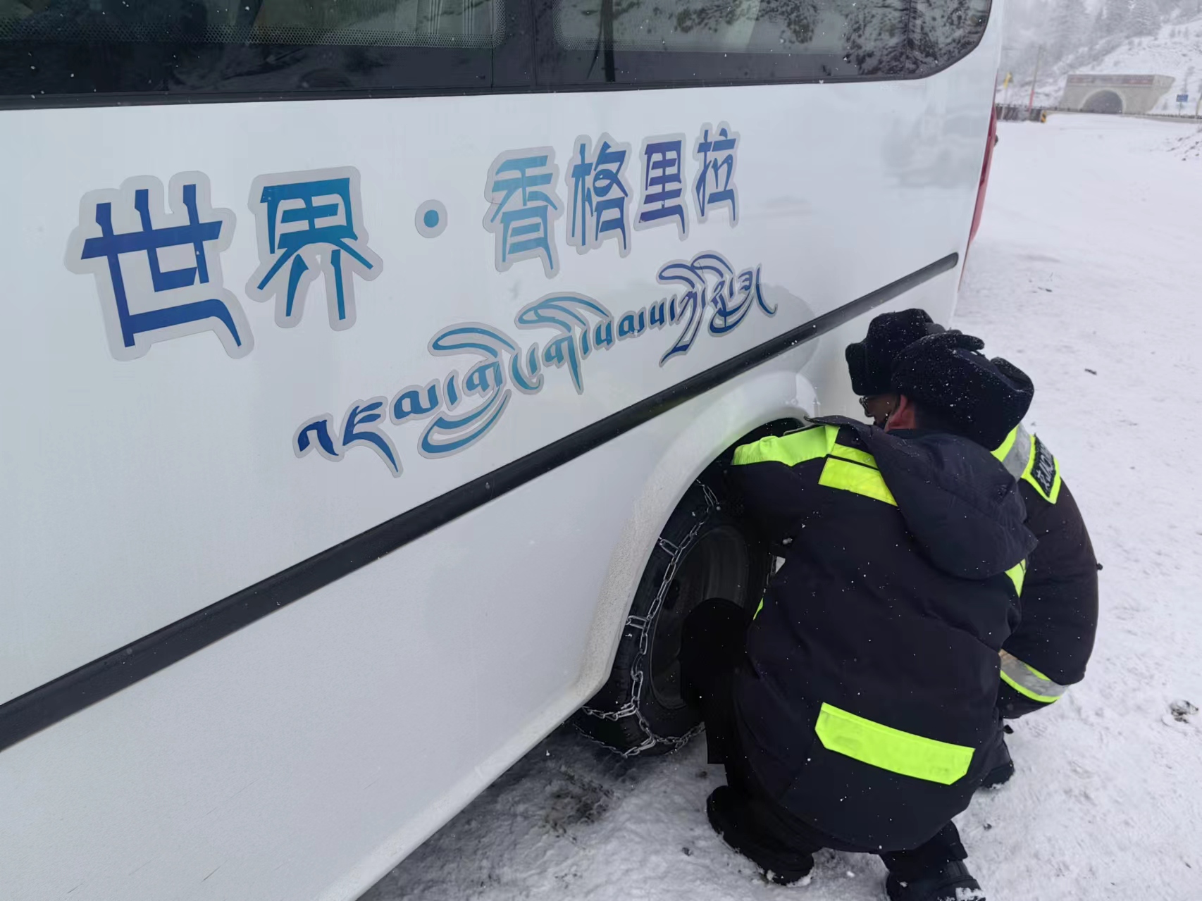 1731896892539005186.jpg 3.jpg