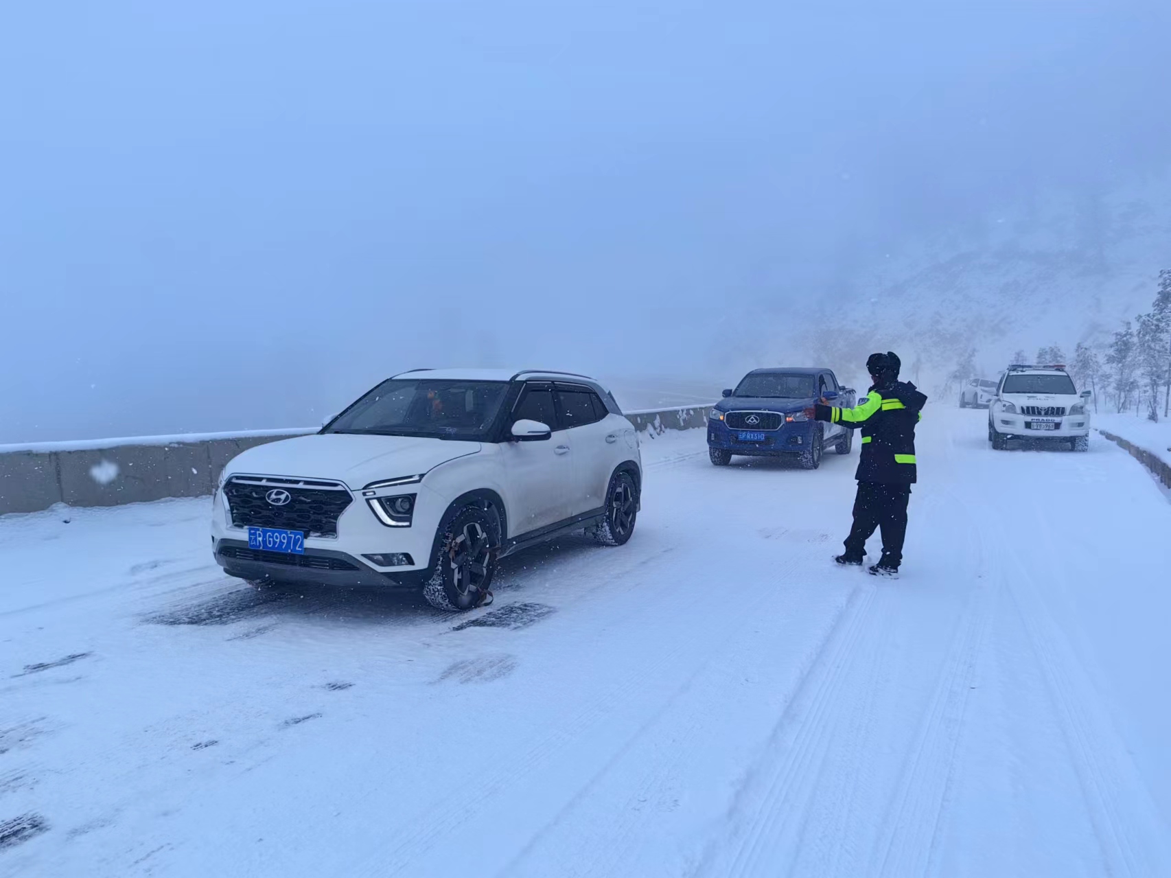 1731896905950000733.jpg 4.jpg