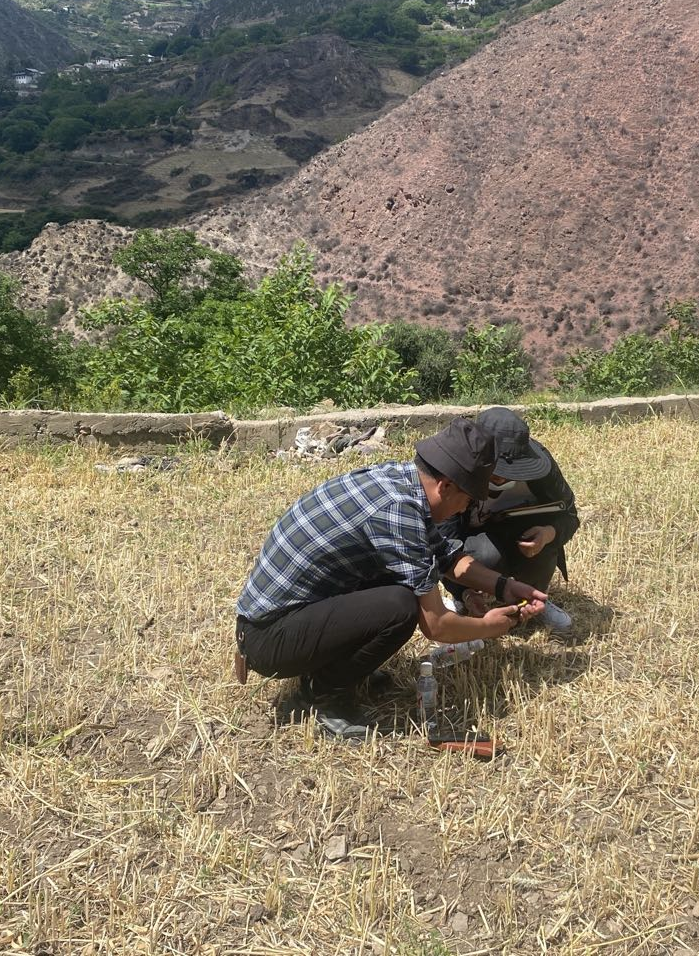 1638323190490050618.png 图片1.png