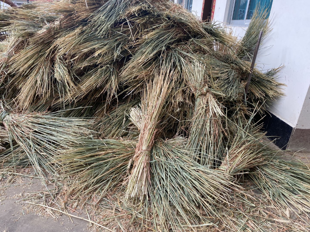 1638323265925068913.png 图片3.png