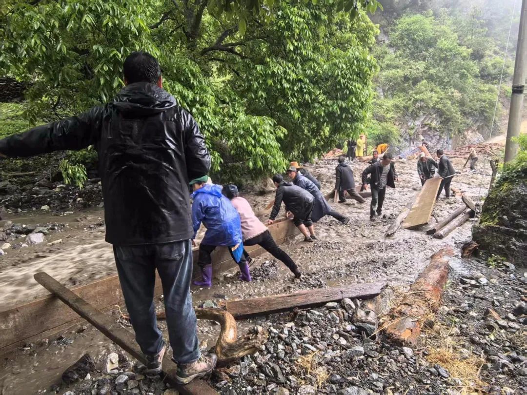 1748999991066055295.jpg 4.jpg