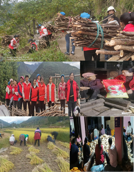 1729734281125074058.png 1111111图.png