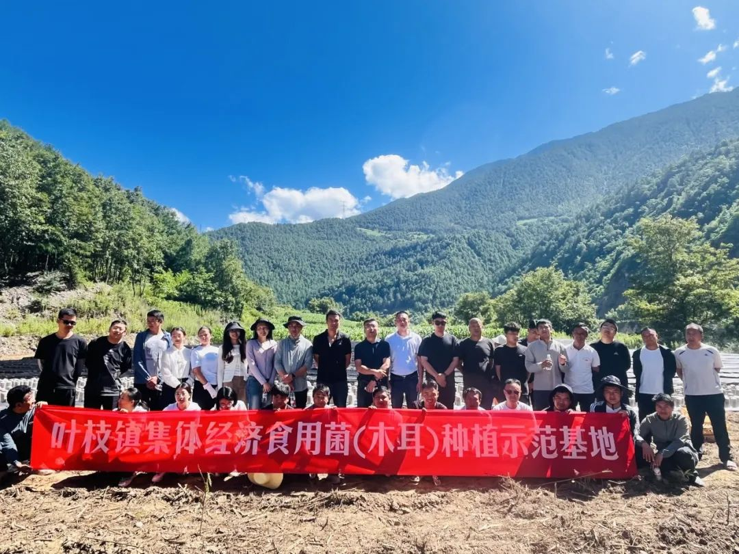 1751357292910075004.png 99.png