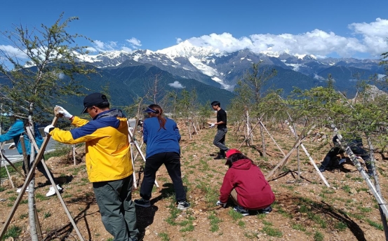 1677202156158037555.png image.png