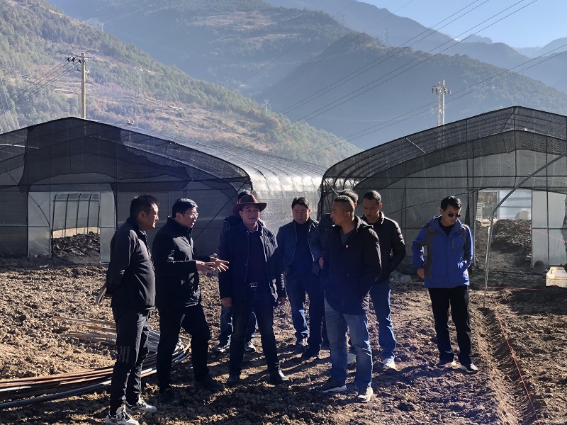 1639618867531005950.jpg d7861f8d350053c71b29339af93d796.jpg