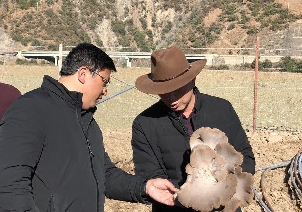 1639618883020060754.jpg c439b6ba1fac29fa6149b40ac696f89.jpg