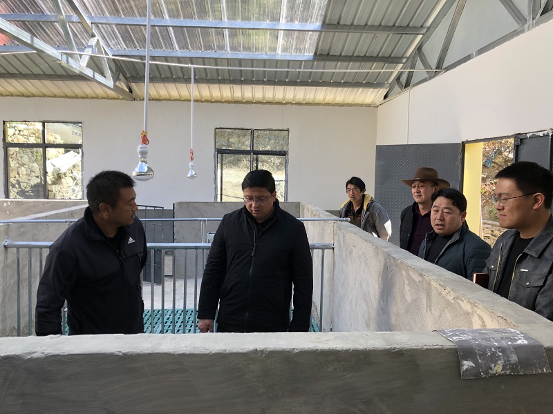 1639618899409007208.jpg 1b19e8811c6e153cd71c6c5354c751f.jpg