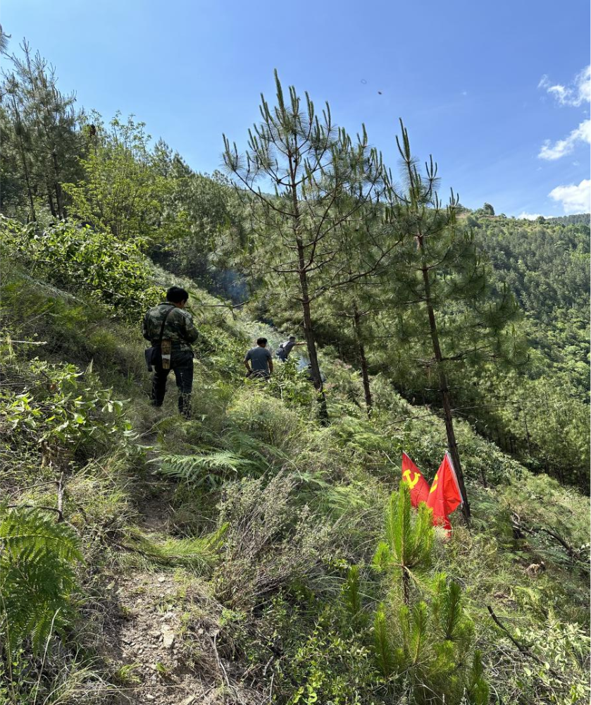 1686296307698080008.png 1686296307698080008.png